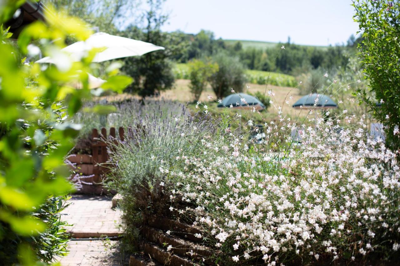 Country House Villa Sabrina San Ginesio Εξωτερικό φωτογραφία