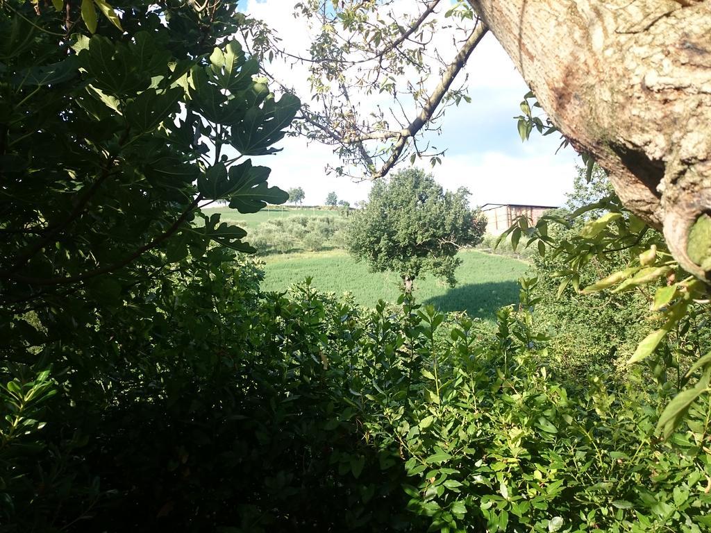 Country House Villa Sabrina San Ginesio Εξωτερικό φωτογραφία