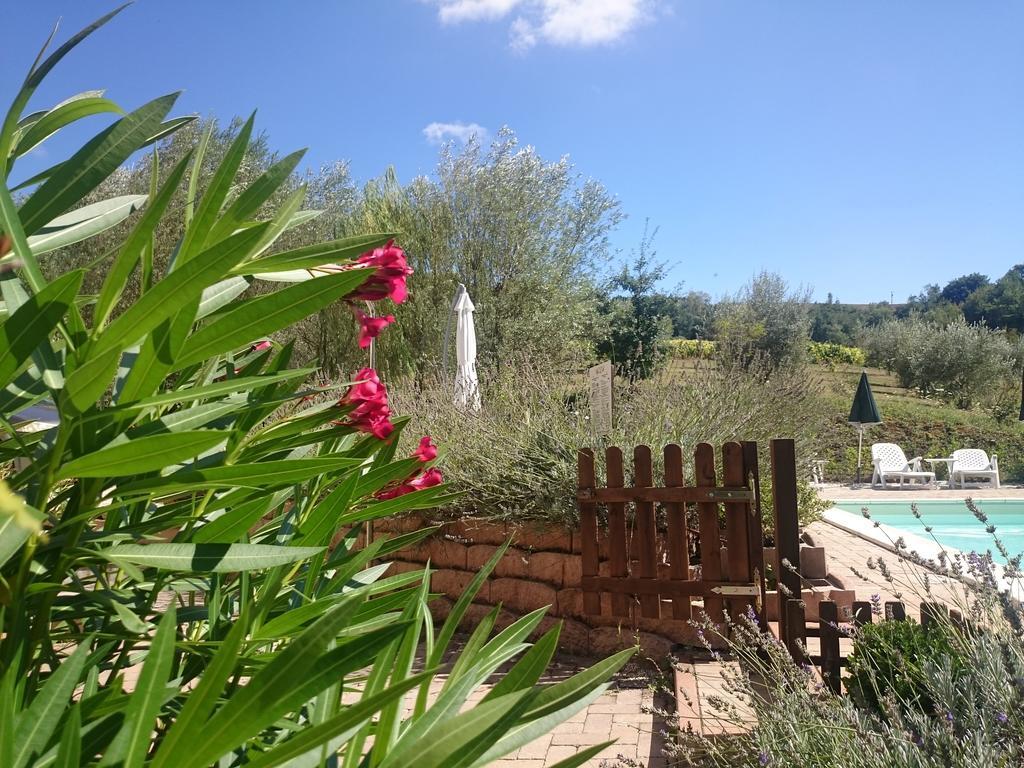 Country House Villa Sabrina San Ginesio Εξωτερικό φωτογραφία